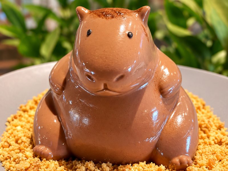 Cupimvara - Panacotta de Chocolate, de Canto do Cupim